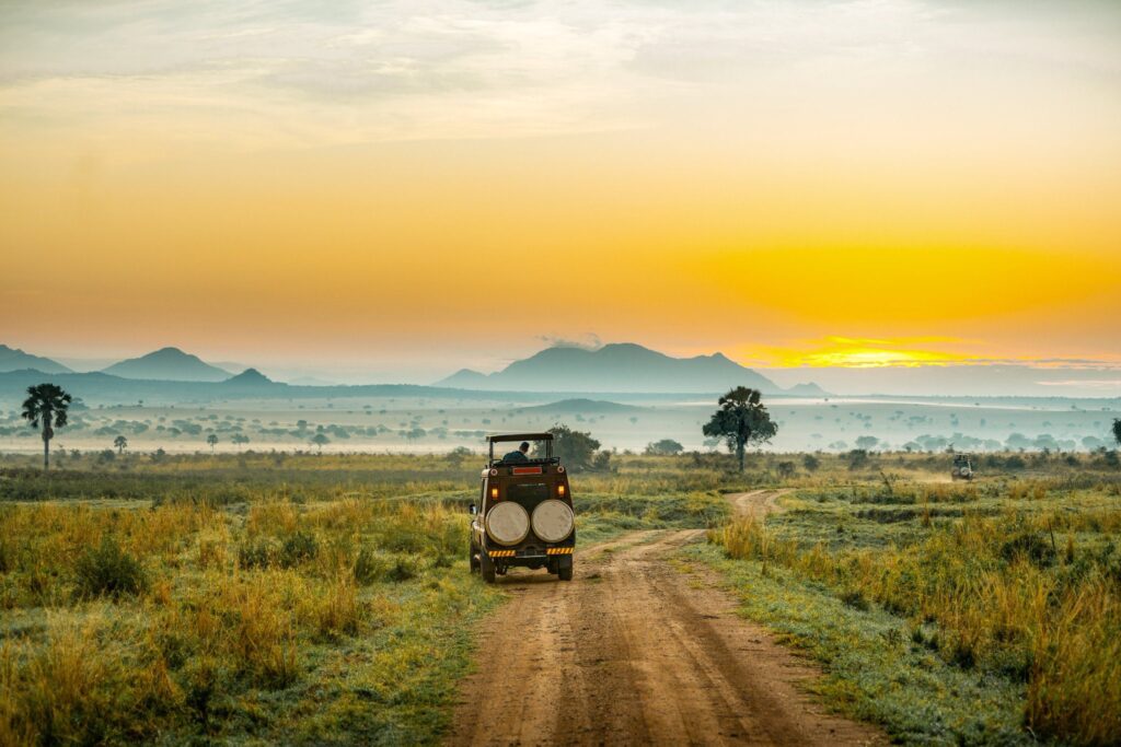 Uganda Game Drives Safari