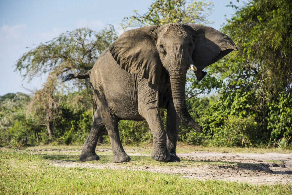 3 Days Murchison Falls Adventure